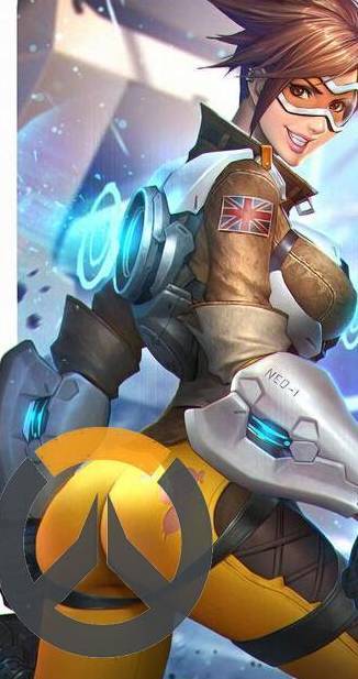 收入囊中 收入囊中